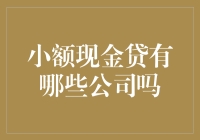 小额现金贷公司现状与探究