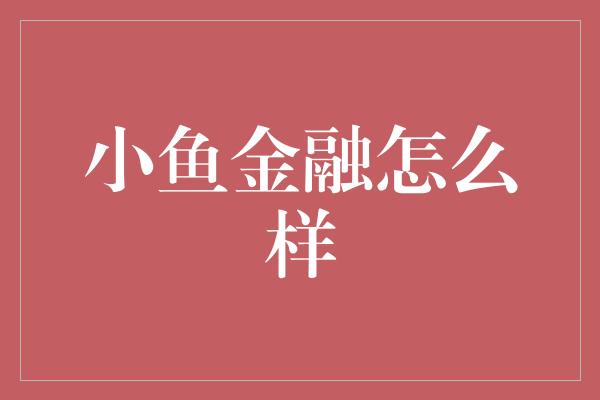 小鱼金融怎么样