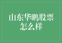 山东华鹏：股票界的水浒传小弟，是时候上位了吗？