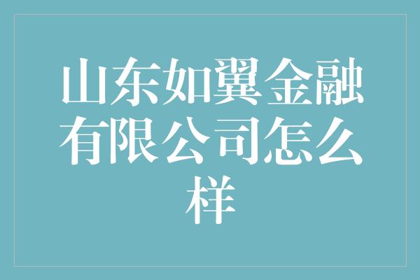 山东如翼金融有限公司怎么样