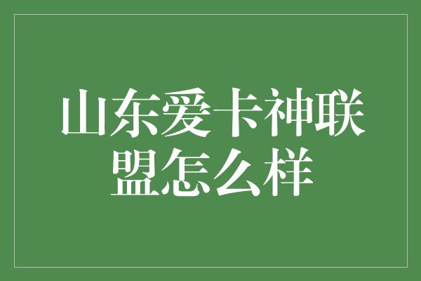 山东爱卡神联盟怎么样