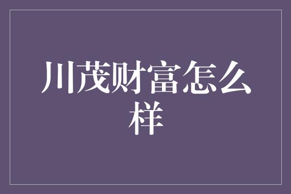 川茂财富怎么样