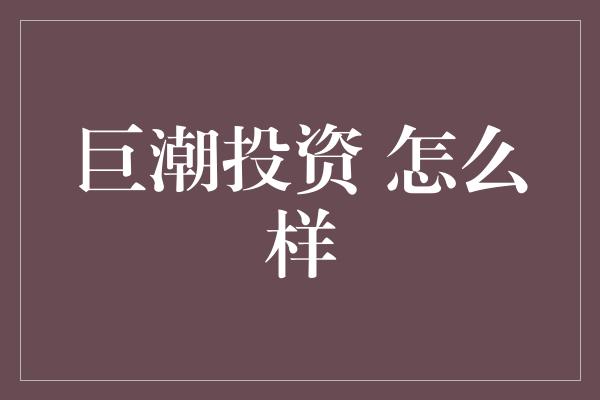 巨潮投资 怎么样