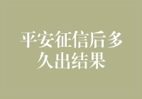 平安征信报告查询时间与结果解读：高效与稳定的背后