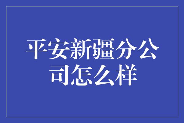 平安新疆分公司怎么样