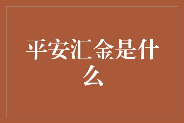 平安汇金是什么