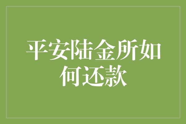 平安陆金所如何还款