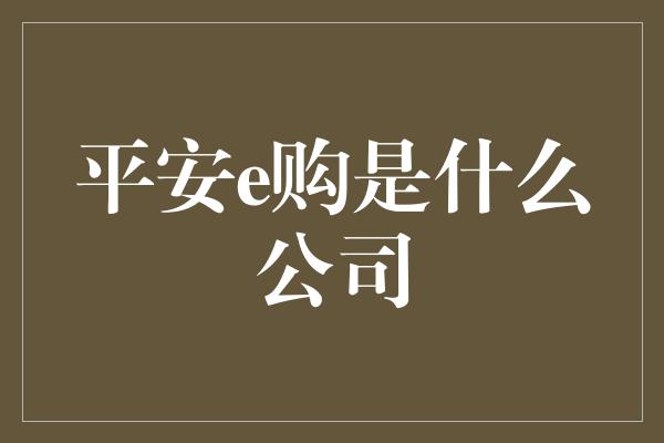 平安e购是什么公司