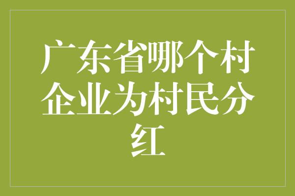 广东省哪个村企业为村民分红