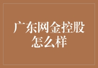 广东网金控股有限公司：互联网金融界的老顽童？