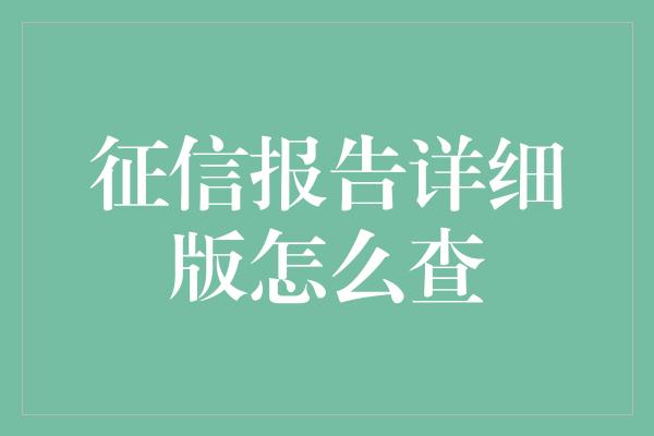 征信报告详细版怎么查