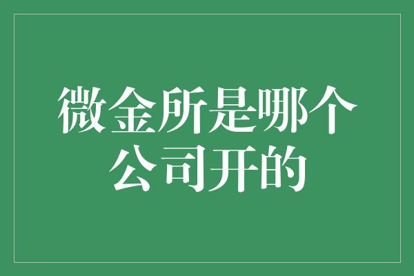 微金所是哪个公司开的