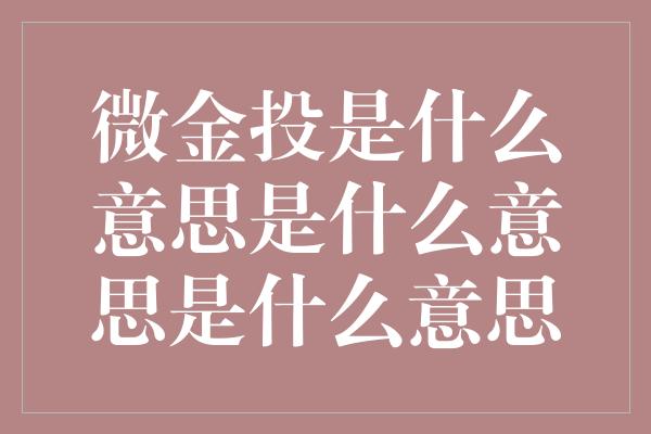 微金投是什么意思是什么意思是什么意思