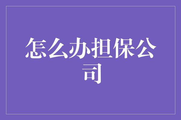 怎么办担保公司