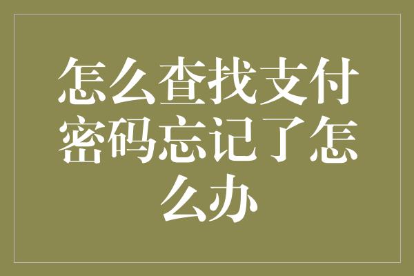 怎么查找支付密码忘记了怎么办