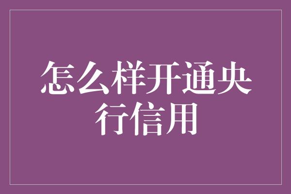 怎么样开通央行信用