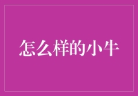 小牛：未来领军者的培养计划