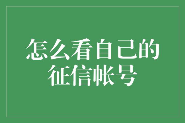 怎么看自己的征信帐号