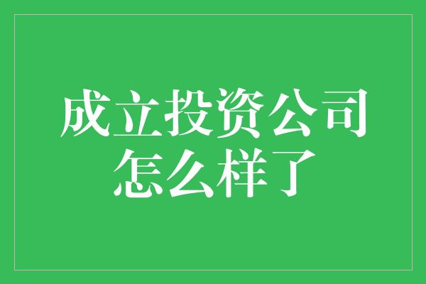 成立投资公司怎么样了