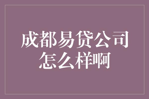 成都易贷公司怎么样啊