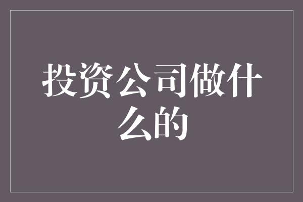 投资公司做什么的