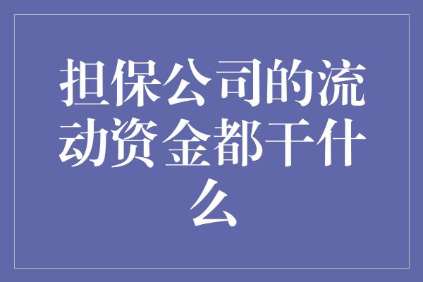 担保公司的流动资金都干什么