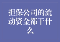 担保公司流动资金用途：保障金融服务稳定与创新