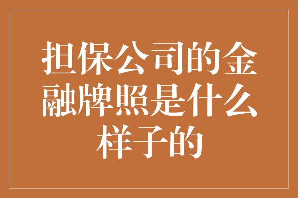 担保公司的金融牌照是什么样子的