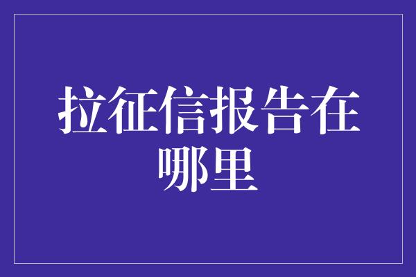 拉征信报告在哪里