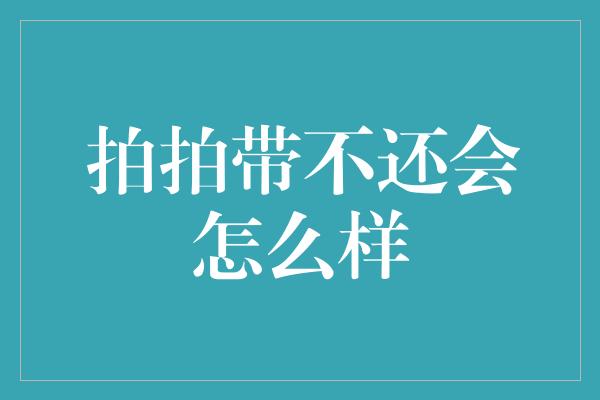 拍拍带不还会怎么样