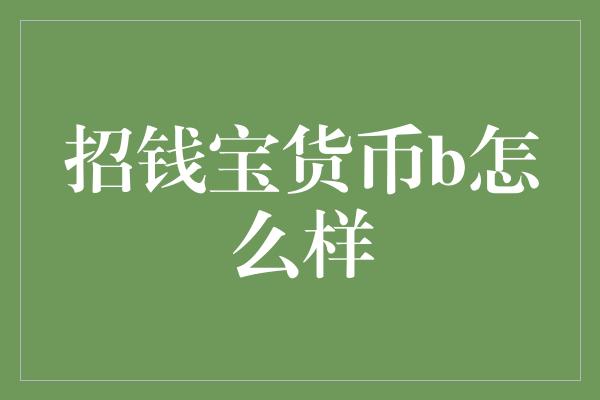 招钱宝货币b怎么样