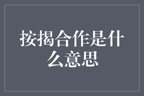 按揭合作是什么意思