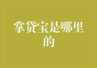 掌贷宝：你听过小镇的金融秘密吗？