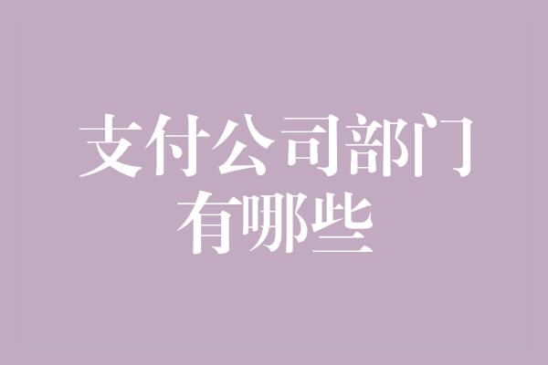 支付公司部门有哪些