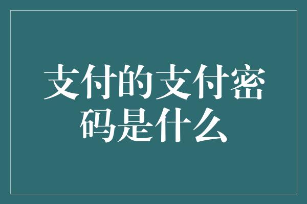 支付的支付密码是什么