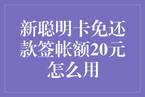 新聪明卡免还款签帐额20元怎么用