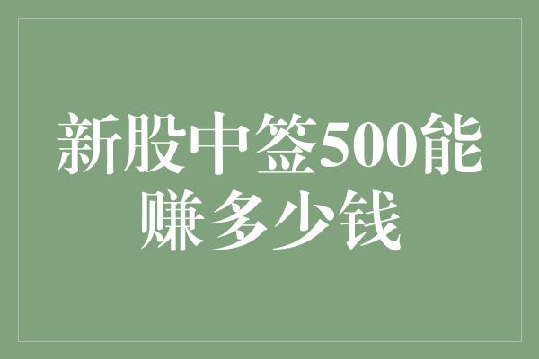 新股中签500能赚多少钱