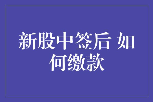 新股中签后 如何缴款