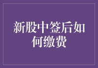 新股中签后如何正确缴费：流程解析与注意事项