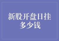 新股上市首日：投资者需考量的定价策略与风险