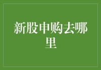 新股申购：从新手到高手的进阶之路