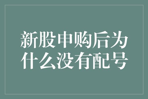 新股申购后为什么没有配号