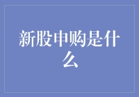 解读新股申购：资本市场的重要机制与流程详解