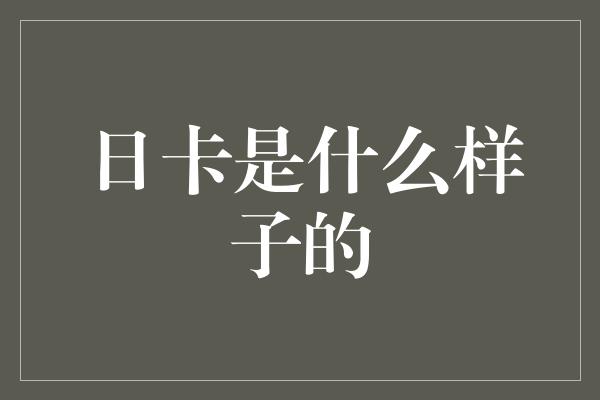 日卡是什么样子的