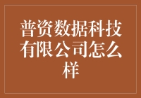 普资数据科技有限公司怎么样？ 看看投资界的眼光！