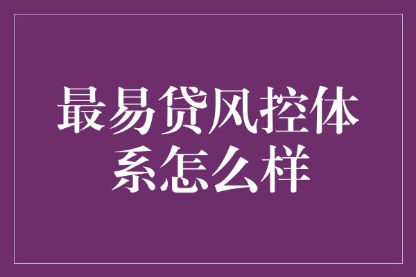 最易贷风控体系怎么样