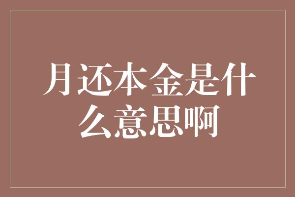 月还本金是什么意思啊