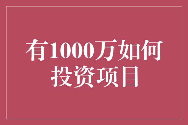 有1000万如何投资项目