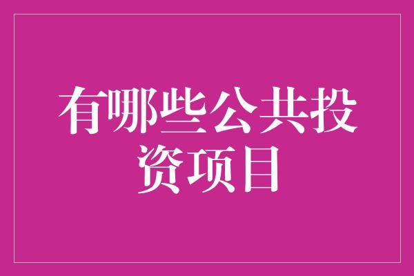 有哪些公共投资项目