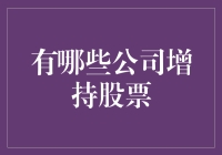 多元化投资策略下的公司增持股票案例分析